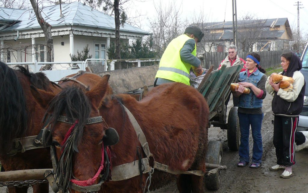 pov 0006 7 1024x643 1