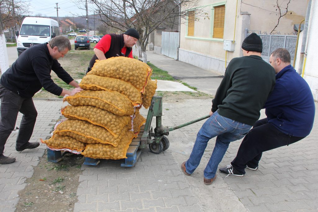 Aktion Weihnachtsfreude 4 Hoffnung AW 9 1 1024x682 1